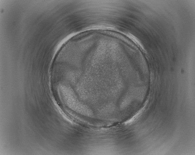 X0000061140854200512161528