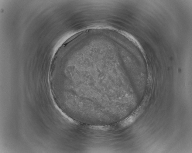 X0000061140855200512161528