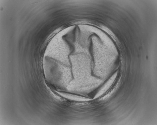 X0000061140857200512161528