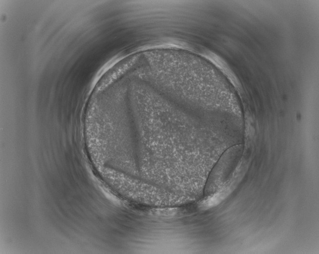 X0000061140858200512161528