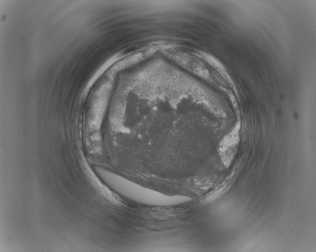 X0000061140859200512161528