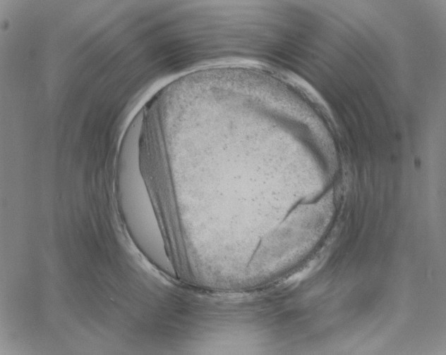 X0000061140860200512161528