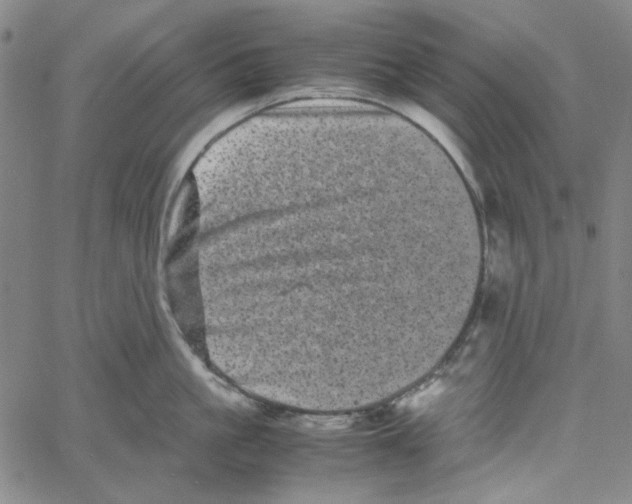 X0000061140861200512161528