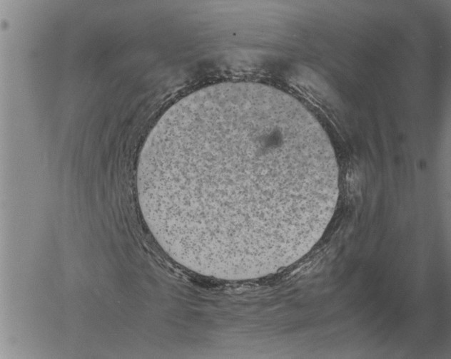 X0000061140865200512161528