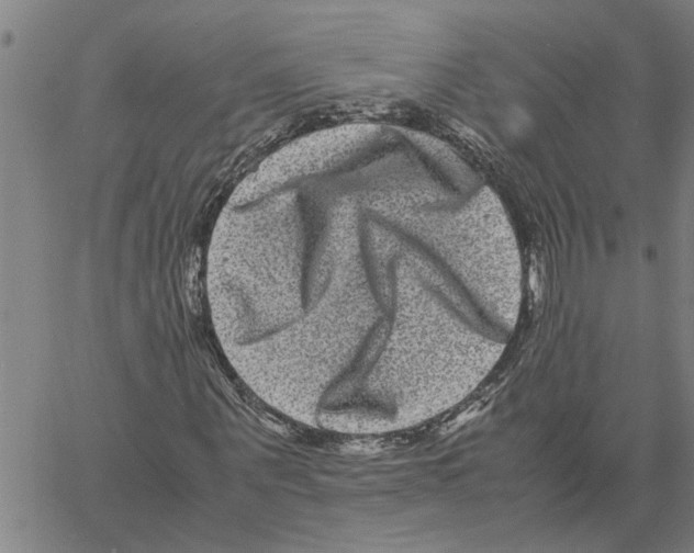 X0000061140867200512161527