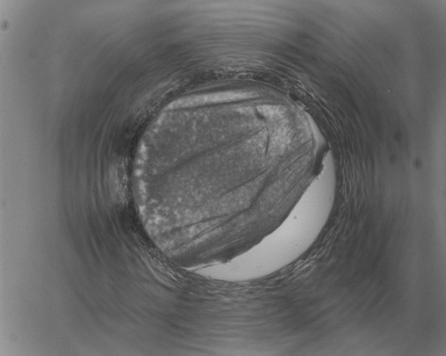 X0000061140868200512161527