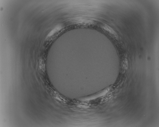 X0000061140869200512161527