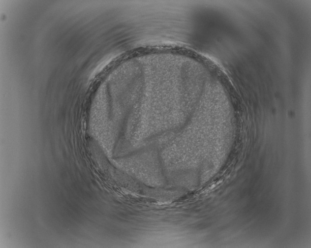 X0000061140871200512161527