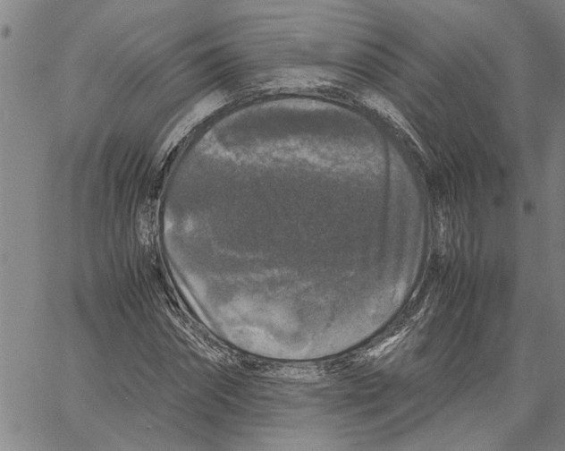 X0000061140874200512161527