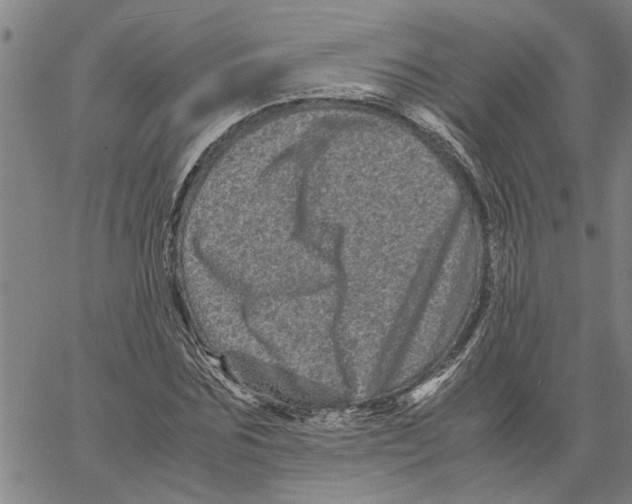 X0000061140875200512161527