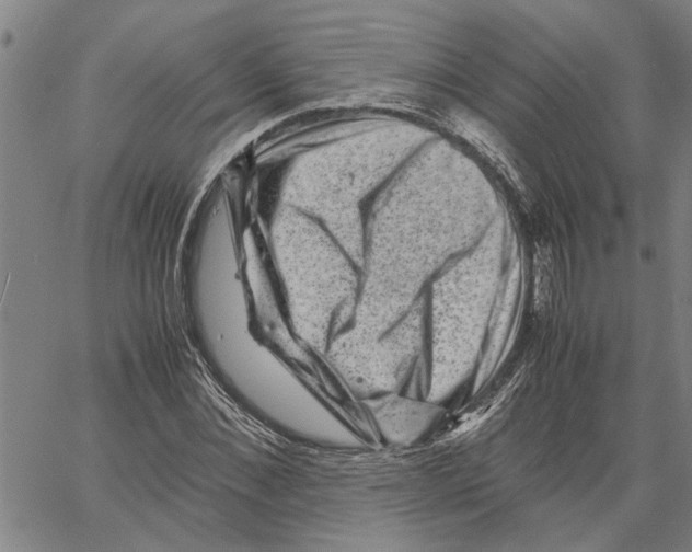 X0000061140876200512161527