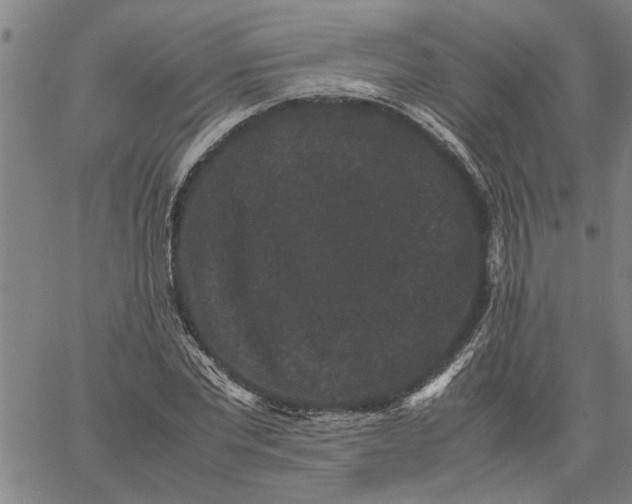 X0000061140877200512161527