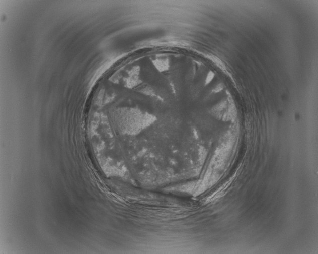 X0000061140879200512161527