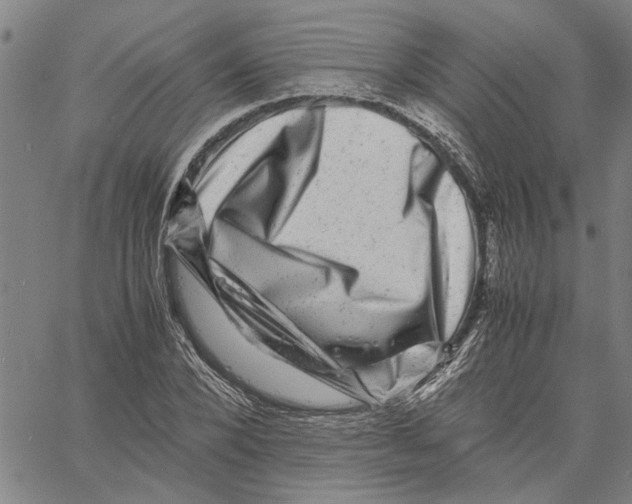 X0000061140880200512161527