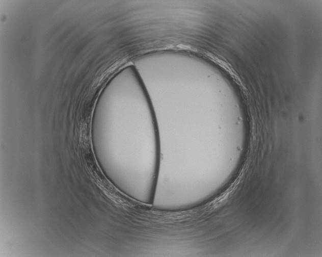 X0000061140881200512161527