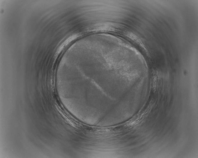 X0000061140882200512161527