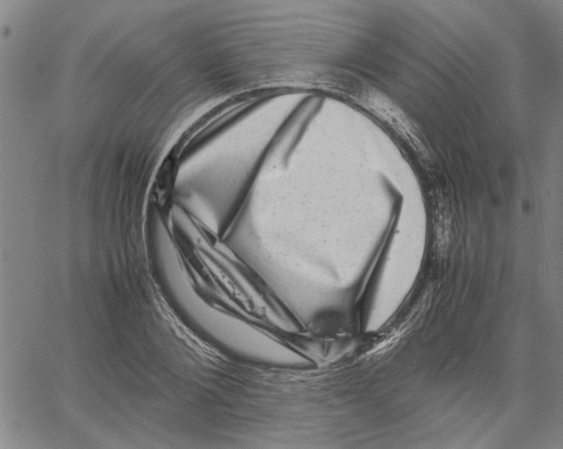 X0000061140884200512161527