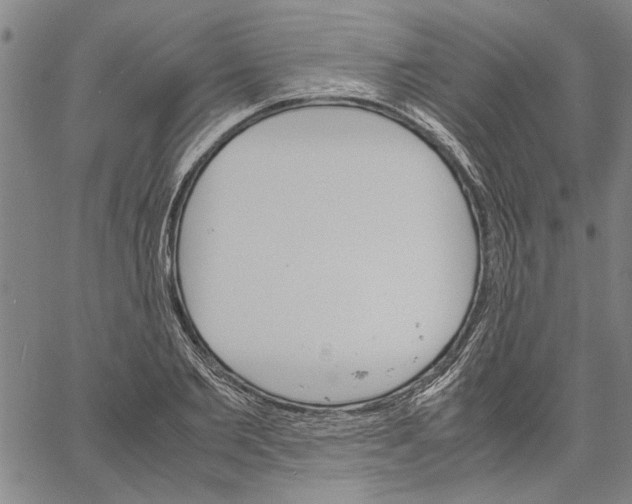 X0000061140885200512161527