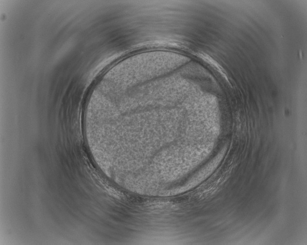 X0000061140886200512161527