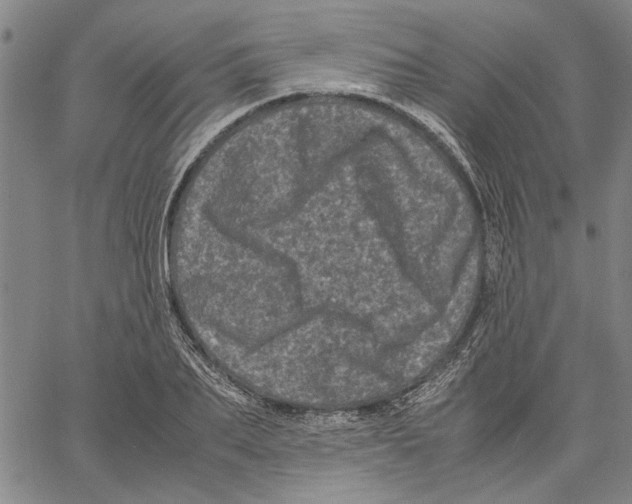 X0000061140887200512161527