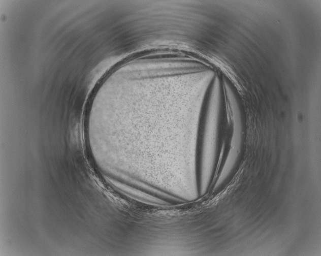 X0000061140888200512161527