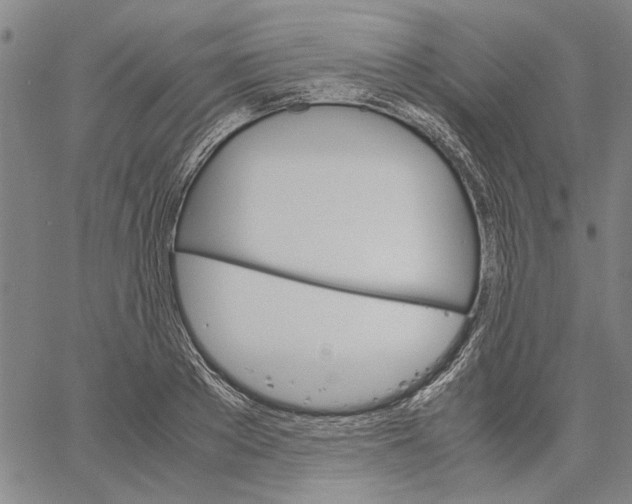 X0000061140889200512161527