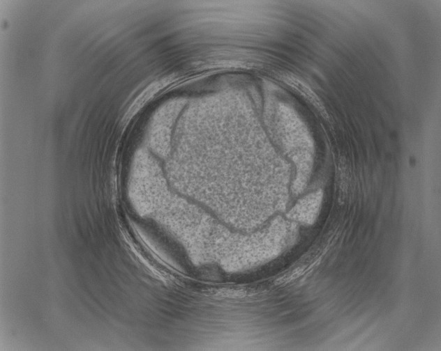 X0000061140890200512161527