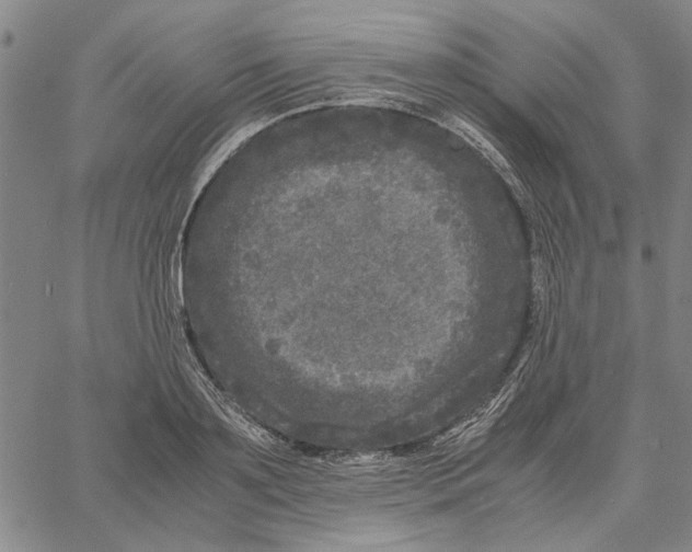 X0000061140891200512161527