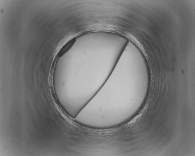 X0000061140893200512161527