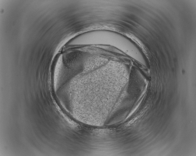 X0000061140894200512161527