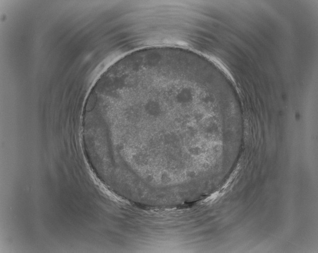 X0000061140895200512161527