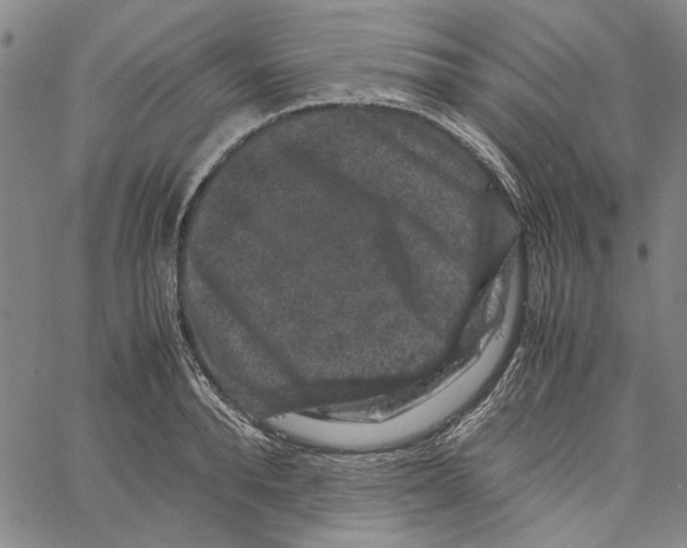 X0000061140896200512161527