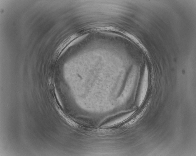 X0000061140897200512161527