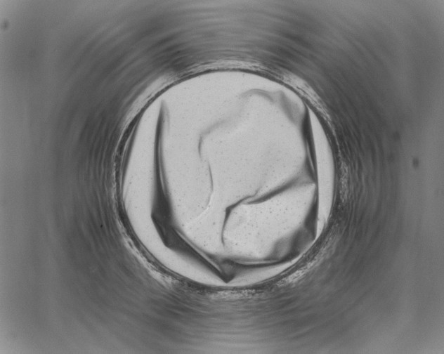 X0000061140898200512161527