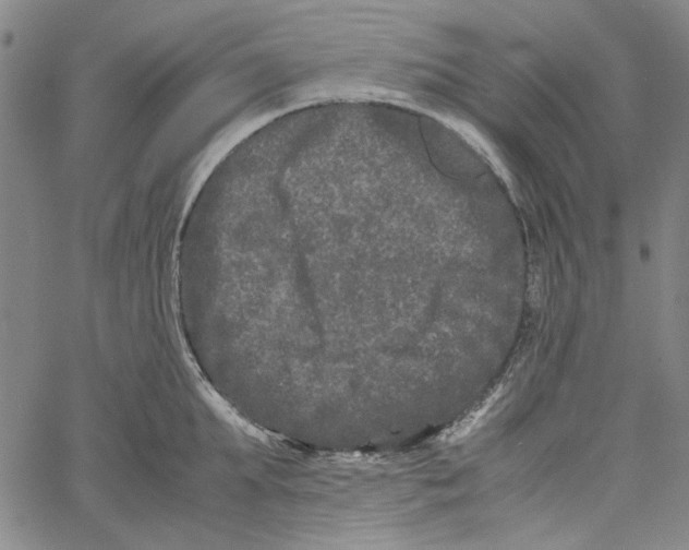 X0000061140903200512161527