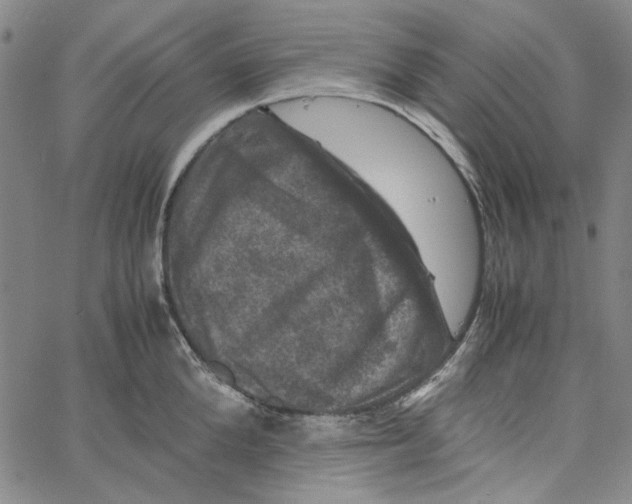 X0000061140904200512161527