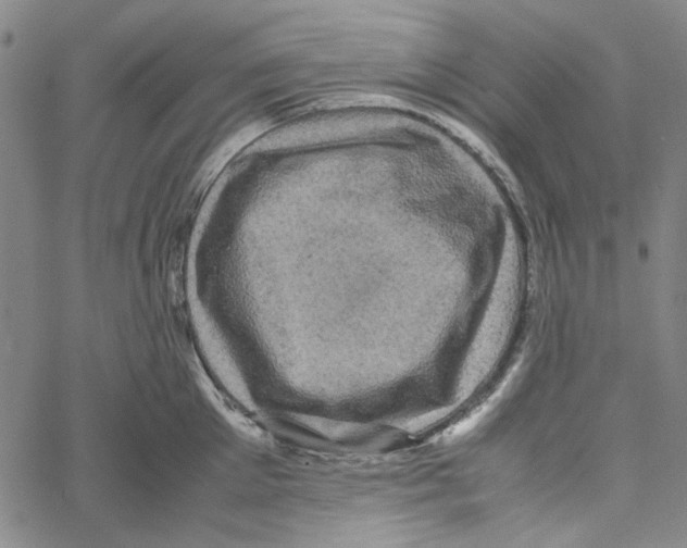 X0000061140905200512161527