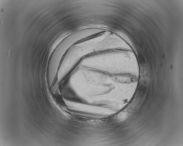 X0000061140906200512161527