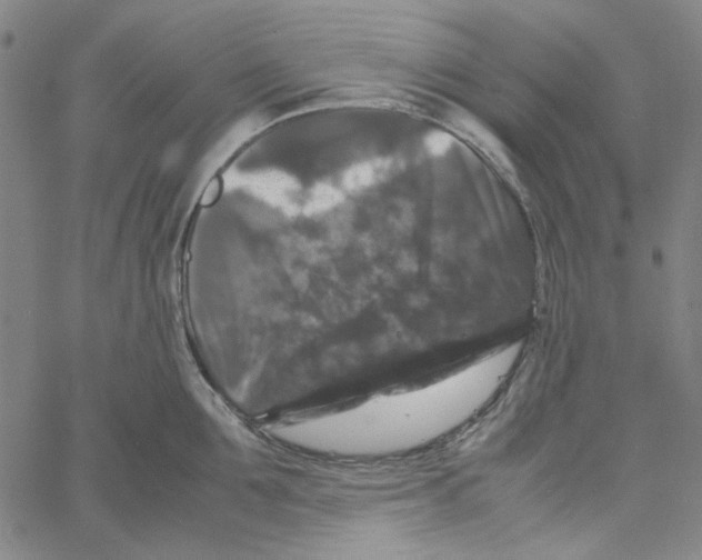 X0000061140907200512161527