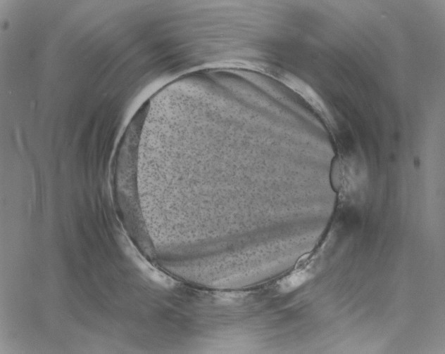 X0000061140908200512161527