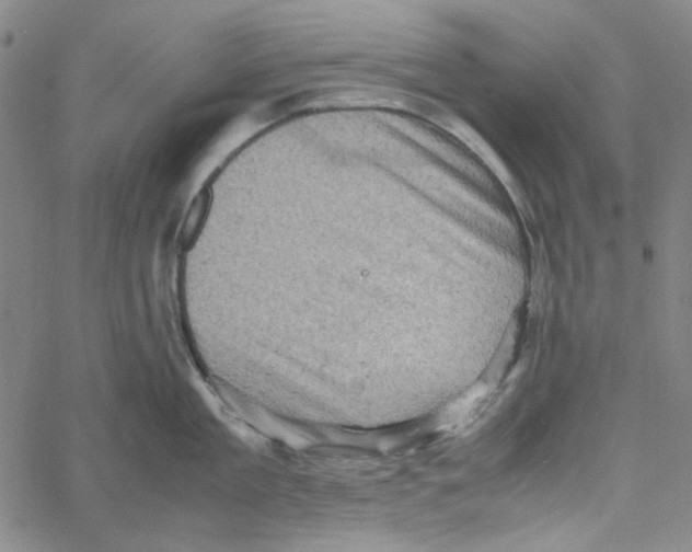 X0000061140909200512161527