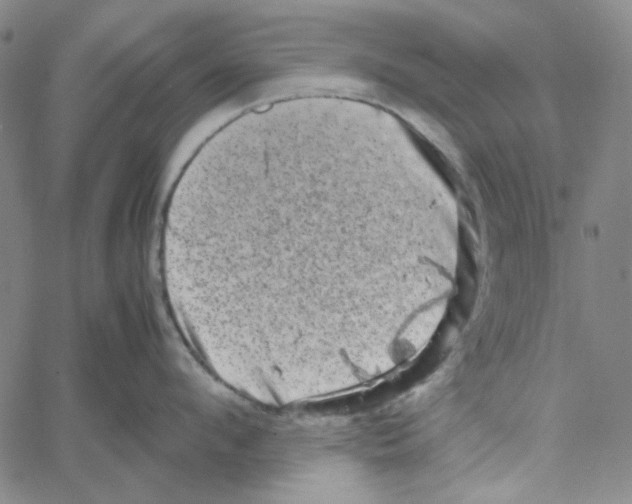 X0000061140912200512161527