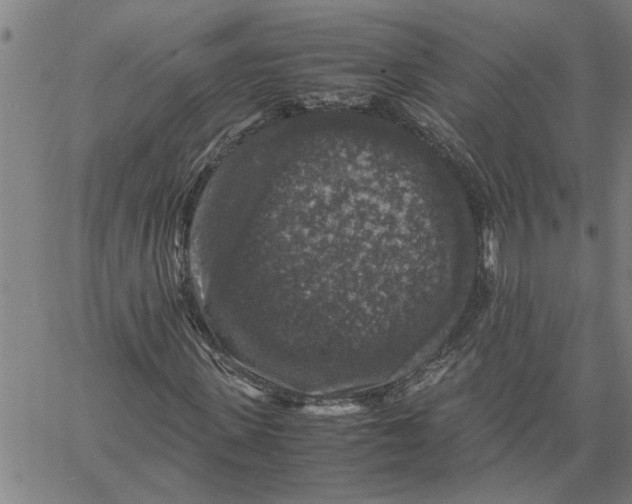 X0000061140915200512161526