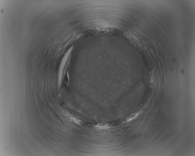 X0000061140916200512161526