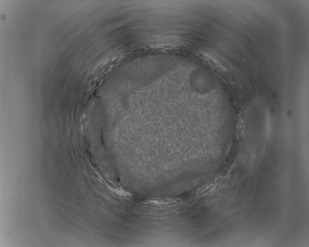 X0000061140917200512161526