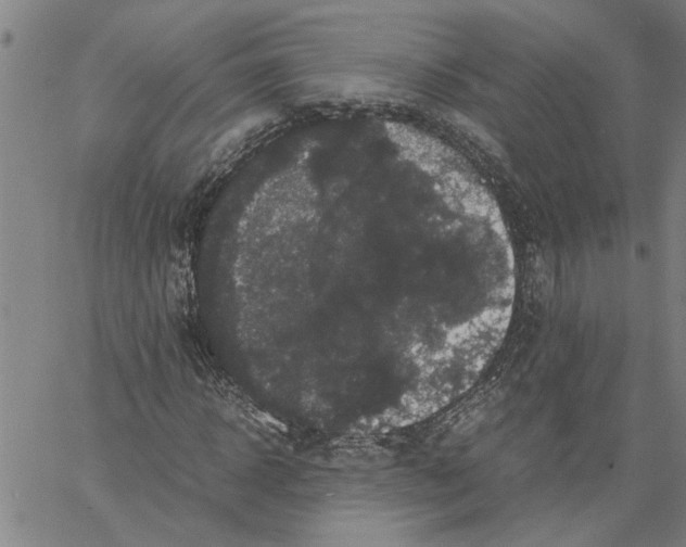 X0000061140918200512161526