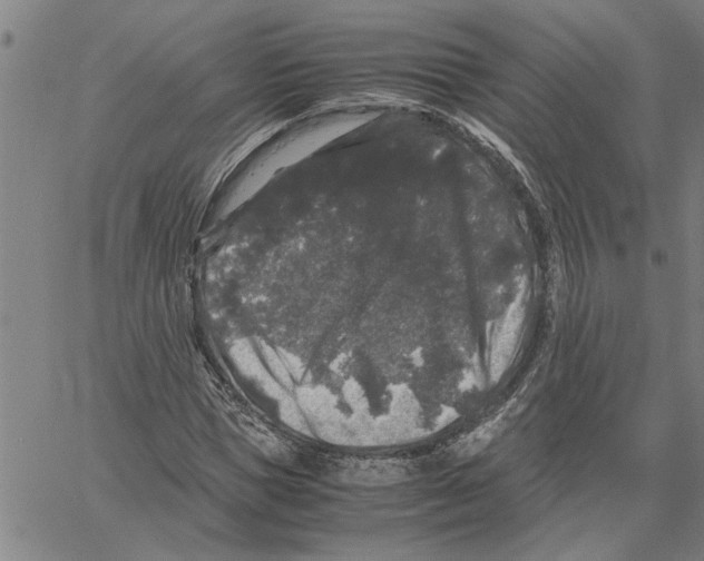 X0000061140921200512161526