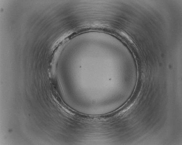 X0000061140922200512161526