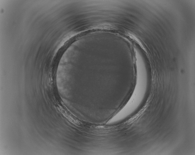 X0000061140923200512161526