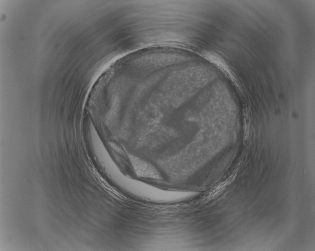 X0000061140924200512161526